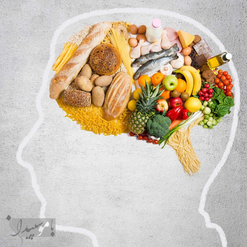 تغذیه مناسب برای تقویت حافظه