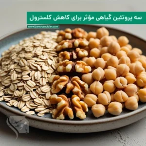 سه پروتئین گیاهی مؤثر برای کاهش کلسترول