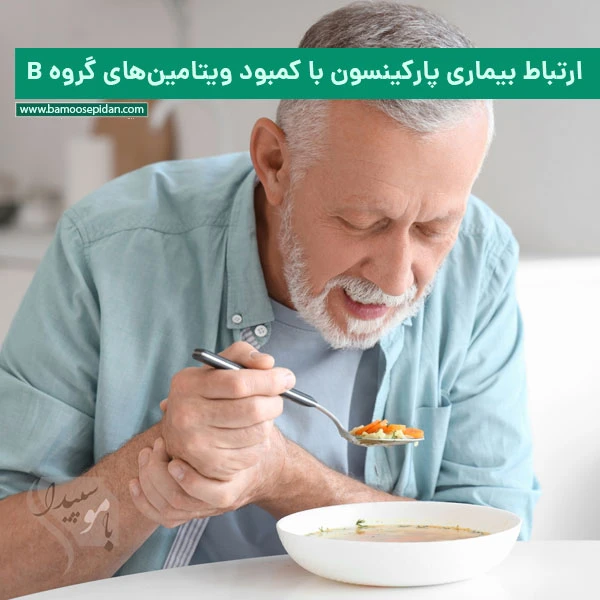 ارتباط بیماری پارکینسون با کمبود ویتامینهای گروه B ارتباط بیماری پارکینسون با کمبود ویتامینهای گروه B