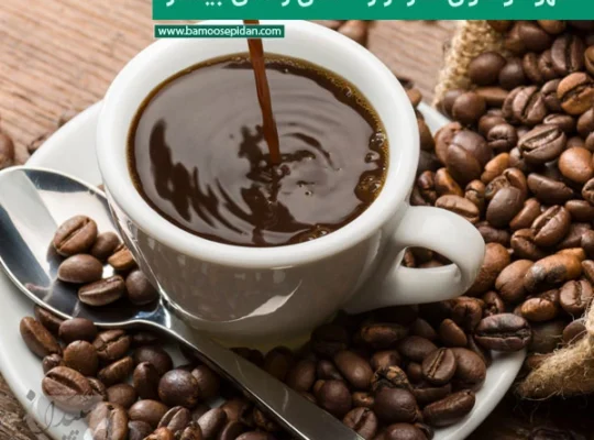 قهوه و طول عمر؛ راز ۲ سال زندگی بیشتر
