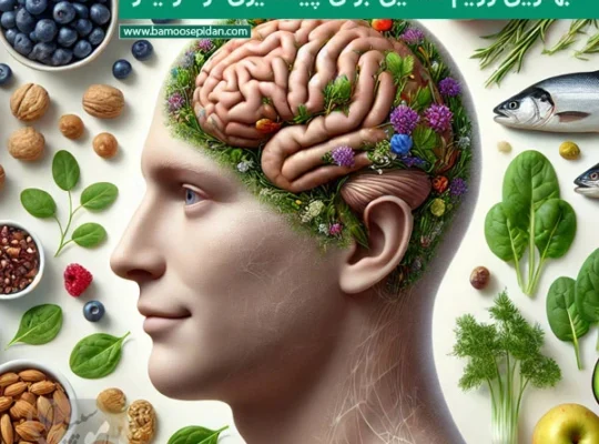 بهترین رژیم غذایی برای پیشگیری از آلزایمر