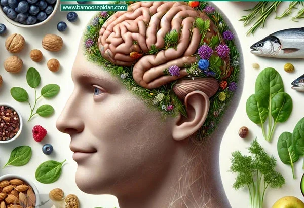 بهترین رژیم غذایی برای پیشگیری از آلزایمر