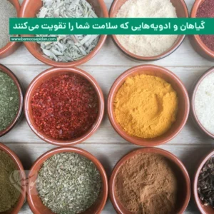 گیاهان و ادویه‌هایی که سلامت شما را تقویت می‌کنند