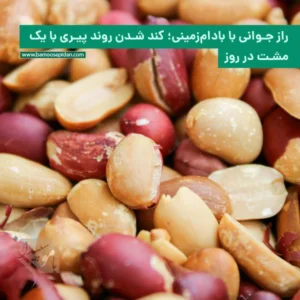 راز جوانی با بادام زمینی؛ کند شدن روند پیری با یک مشت در روز
