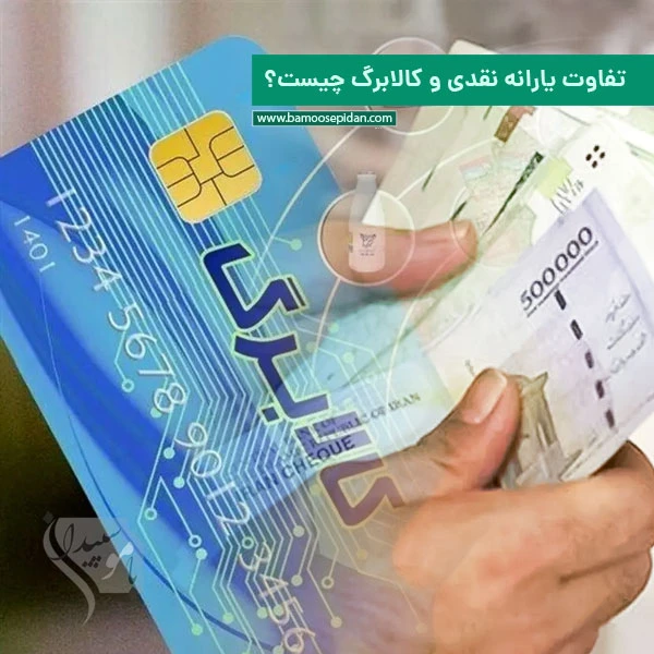 تفاوت یارانه نقدی و کالابرگ چیست؟