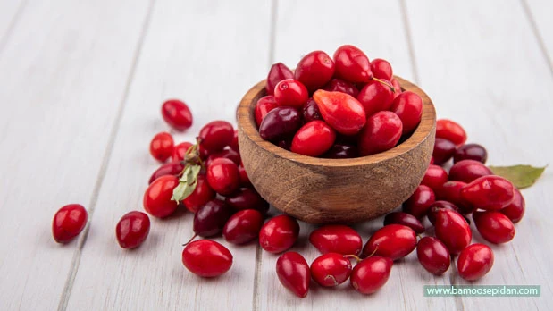زغال اخته میوه‌ای کوچک با خواص بزرگ برای سلامتی