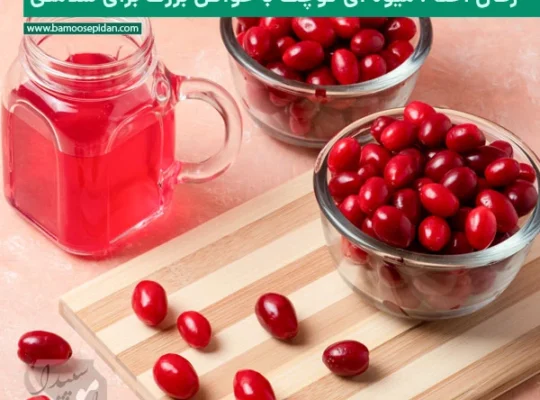 زغال اخته؛ میوه‌ای کوچک با خواص بزرگ برای سلامتی