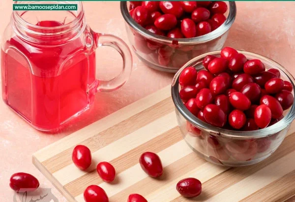 زغال اخته؛ میوه‌ای کوچک با خواص بزرگ برای سلامتی