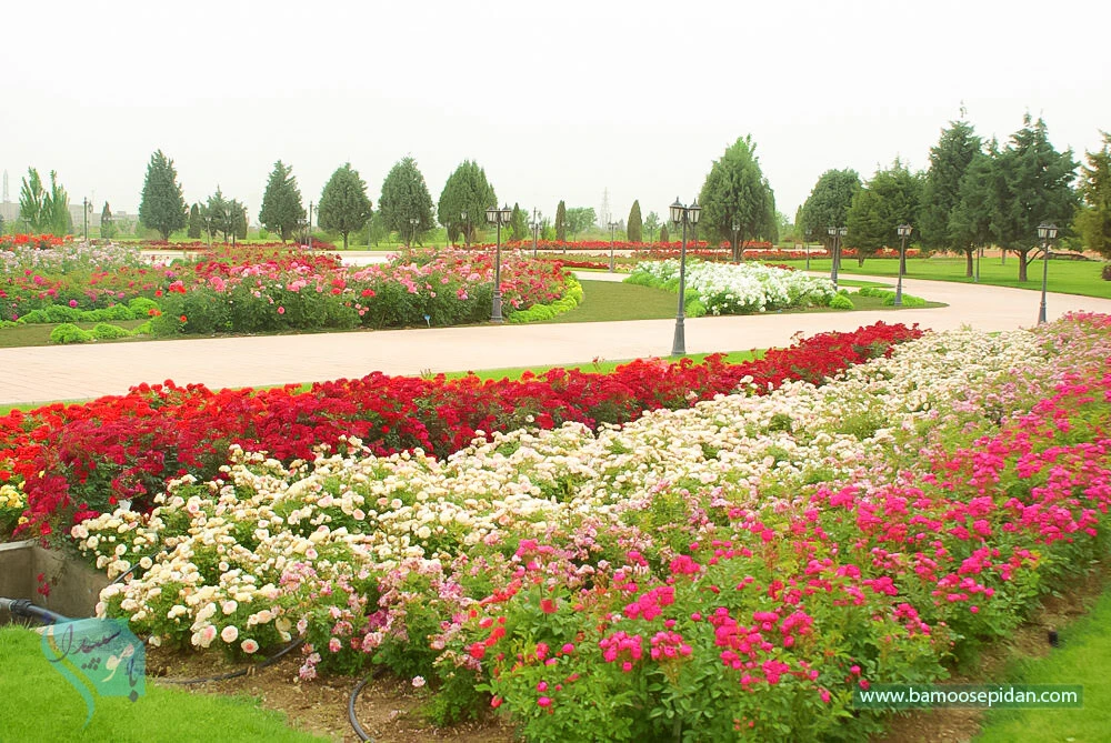 باغ گیاه شناسی ملی ایران؛ بهشتی آرام در دل تهران
