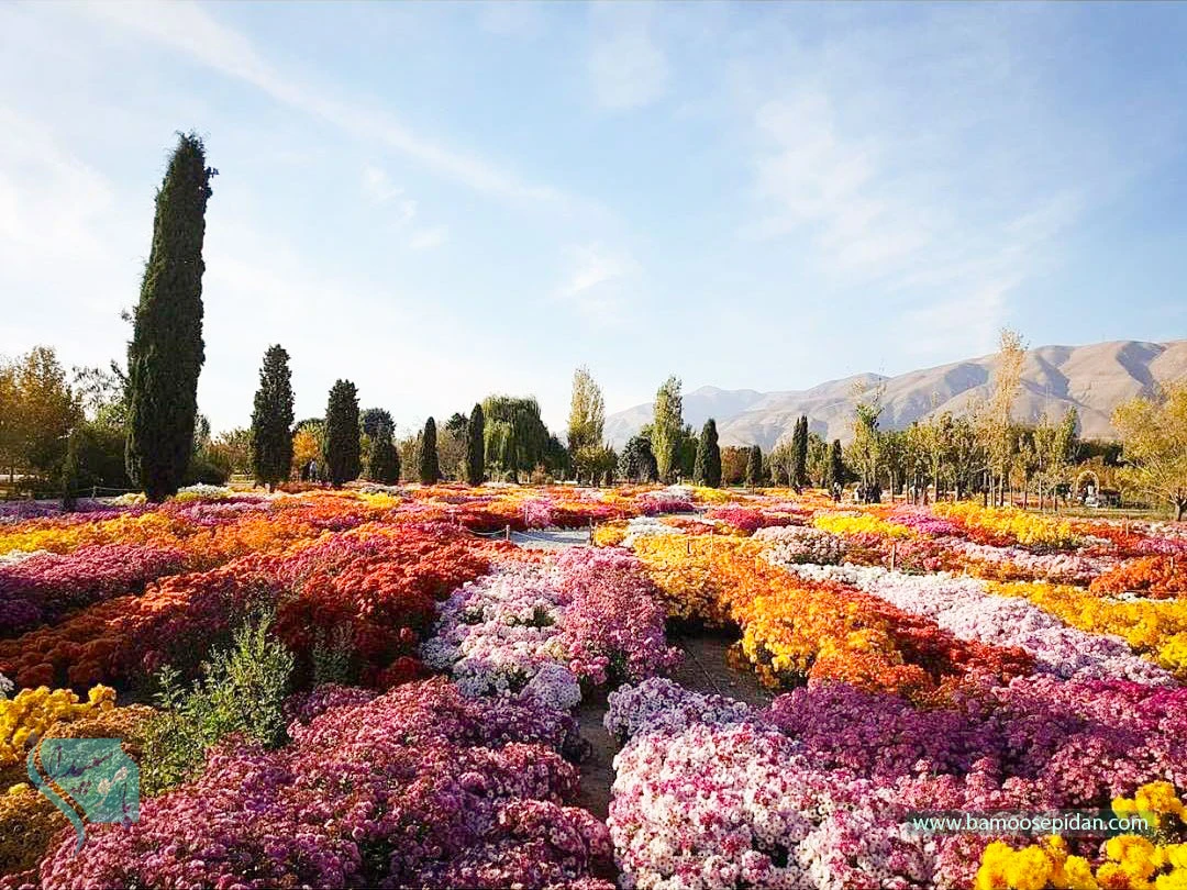 باغ گیاه شناسی ملی ایران؛ بهشتی آرام در دل تهران