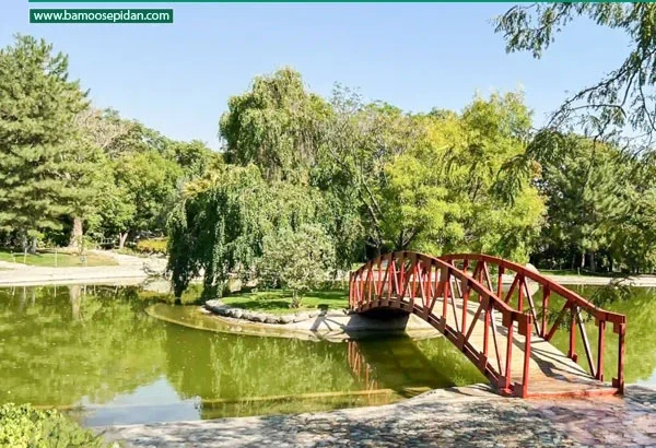 باغ گیاه شناسی ملی ایران؛ بهشتی آرام در دل تهران