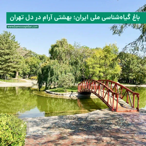 باغ گیاه شناسی ملی ایران؛ بهشتی آرام در دل تهران