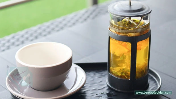 چای سبز و پیشگیری از آلزایمر | راز تازه دانشمندان برای سلامت مغز