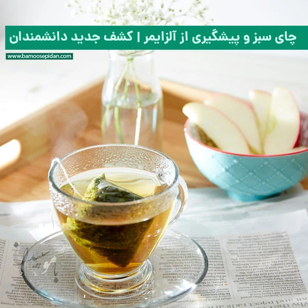 چای سبز و پیشگیری از آلزایمر | راز تازه دانشمندان برای سلامت مغز چای سبز و پیشگیری از آلزایمر | راز تازه دانشمندان برای سلامت مغز