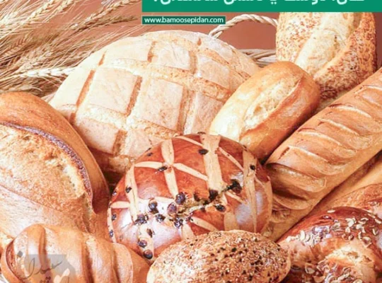 نان؛ دوست یا دشمن سالمندان؟