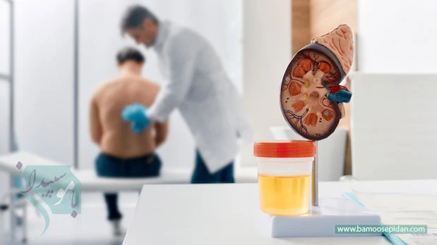 نشانه هایی که میگویند کلیه ها کمک میخواهند!