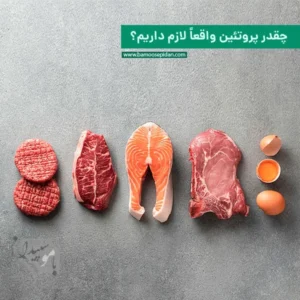 چقدر پروتئین واقعاً لازم داریم؟