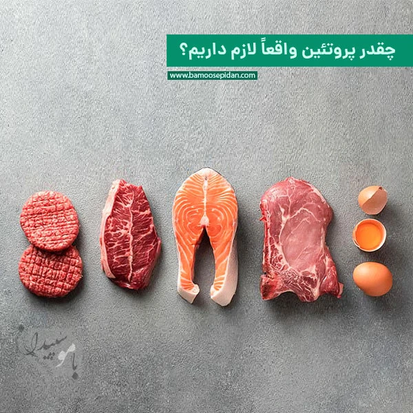 چقدر پروتئین واقعاً لازم داریم؟