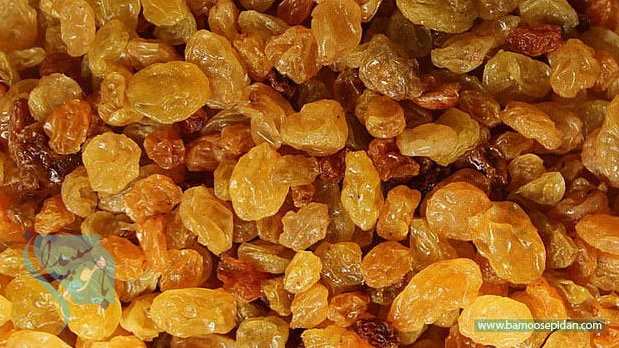 کشمش صبحگاهی؛ راز طول عمر بیشتر برای سالمندان