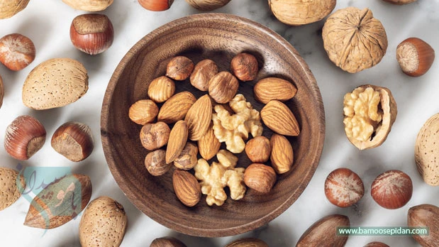 یک مشت مغز در روز؛ راز طلایی برای پیشگیری از زوال عقل در سالمندان