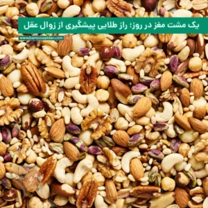 یک مشت مغز در روز؛ راز طلایی برای پیشگیری از زوال عقل در سالمندان