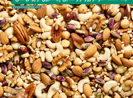 یک مشت مغز در روز؛ راز طلایی برای پیشگیری از زوال عقل