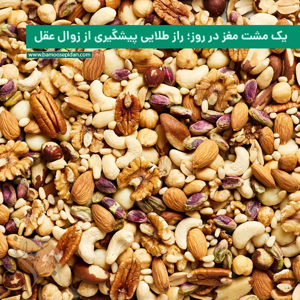 یک مشت مغز در روز؛ راز طلایی برای پیشگیری از زوال عقل در سالمندان