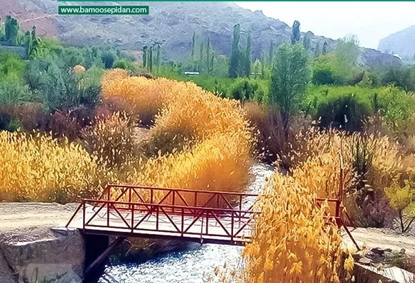 روستای زرین دشت | تکه ای از بهشت در دل فیروزکوه