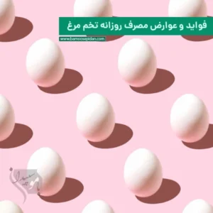فواید و عوارض مصرف روزانه تخم مرغ