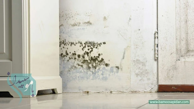 سموم پنهان در خانه؛ تهدید جدی سلامت سالمندان