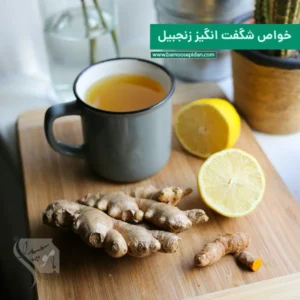 خواص شگفت انگیز زنجبیل