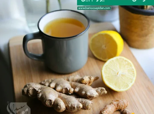 خواص شگفت انگیز زنجبیل