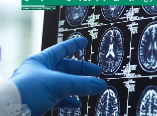 پنج مسیر عصبی مغز در طول زندگی؛ کشف تازه علمی