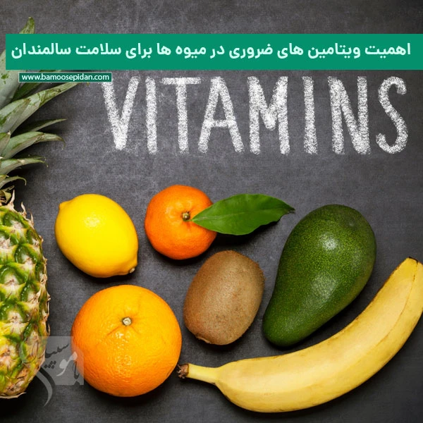 اهمیت ویتامین های ضروری در میوه ها برای سلامت سالمندان